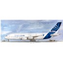 AIRBUS A380                                                                                         