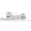 BOEING VERTOL CH-46 Knightriders